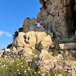L'oleandro 1410 House In Sardinia With Mediterranean Sea Views *