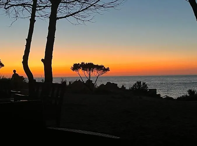 L'oleandro 1410 House In Sardinia With Mediterranean Sea Views Isola Rossa (Sassari)